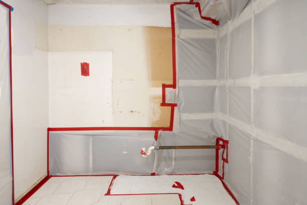 Best Industrial Mold Remediation  in Union City, MI