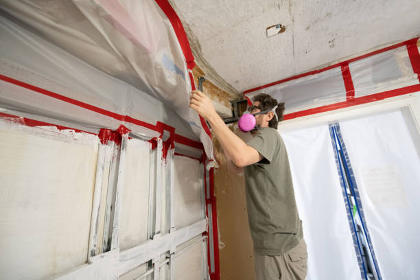 Best Mold Prevention Services  in Union City, MI